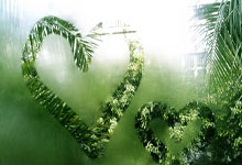 杨幂李易峰天涯论坛大事件，番1糖2误会交织成话题热聊！